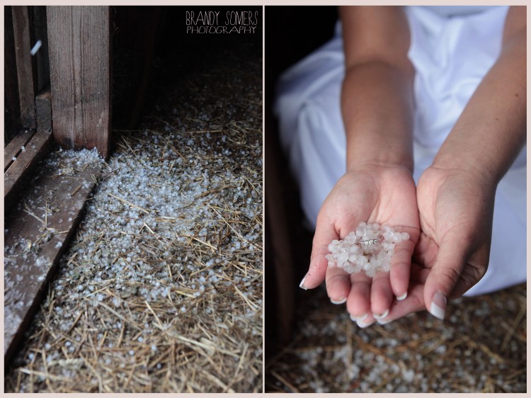 bsomeIMG_1600collage