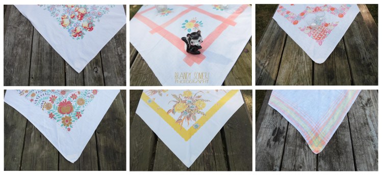 bsomeIMG_2592collage