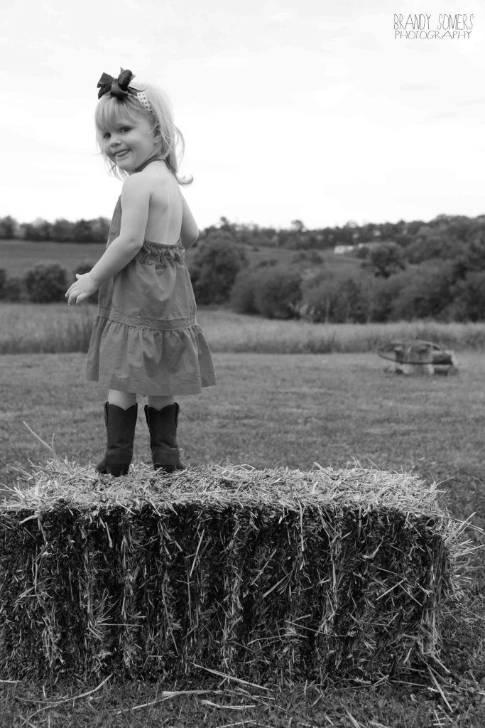 bsomeIMG_6169bw